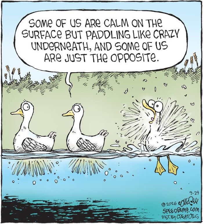30 Clever ‘Speed Bump’ Comics That Poke Fun At People And Daily Life (New Pics) 30 Clever ‘Speed Bump’ Comics That Poke Fun At People And Daily Life (New Pics)