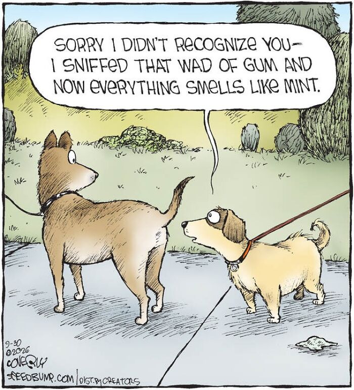 30 Clever ‘Speed Bump’ Comics That Poke Fun At People And Daily Life (New Pics) 30 Clever ‘Speed Bump’ Comics That Poke Fun At People And Daily Life (New Pics)
