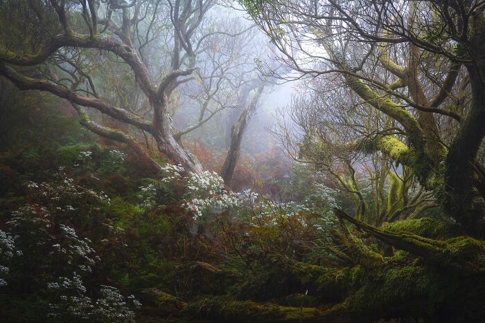 41 Stunning Landscapes From The Natural Landscape Photography Awards 2026 41 Stunning Landscapes From The Natural Landscape Photography Awards 2026