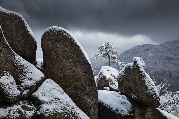41 Stunning Landscapes From The Natural Landscape Photography Awards 2026 41 Stunning Landscapes From The Natural Landscape Photography Awards 2026