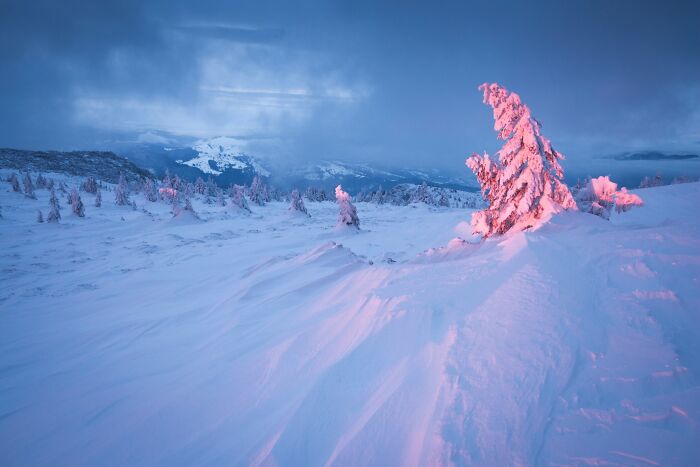 41 Stunning Landscapes From The Natural Landscape Photography Awards 2026 41 Stunning Landscapes From The Natural Landscape Photography Awards 2026