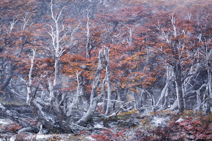41 Stunning Landscapes From The Natural Landscape Photography Awards 2026 41 Stunning Landscapes From The Natural Landscape Photography Awards 2026