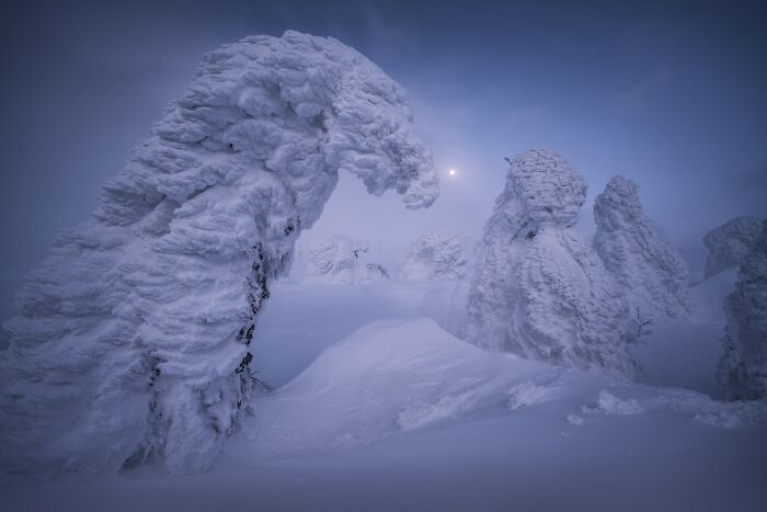 41 Stunning Landscapes From The Natural Landscape Photography Awards 2026 41 Stunning Landscapes From The Natural Landscape Photography Awards 2026