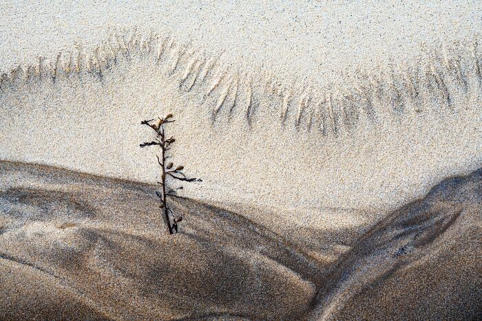41 Stunning Landscapes From The Natural Landscape Photography Awards 2026 41 Stunning Landscapes From The Natural Landscape Photography Awards 2026