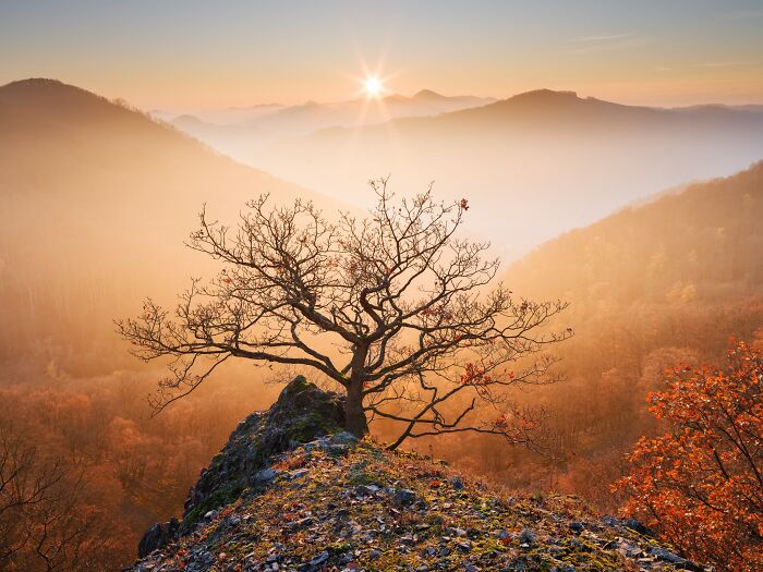 41 Stunning Landscapes From The Natural Landscape Photography Awards 2026 41 Stunning Landscapes From The Natural Landscape Photography Awards 2026