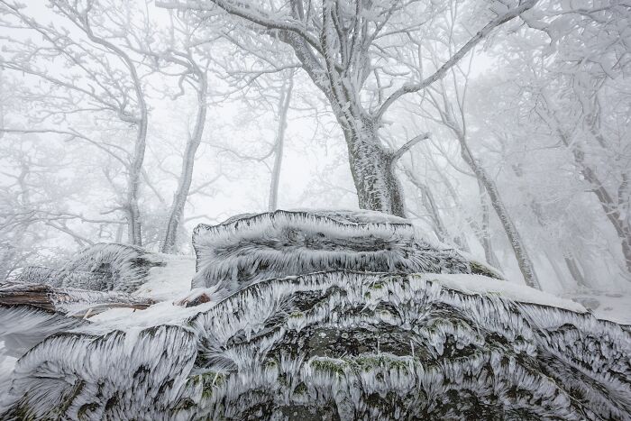 41 Stunning Landscapes From The Natural Landscape Photography Awards 2026 41 Stunning Landscapes From The Natural Landscape Photography Awards 2026