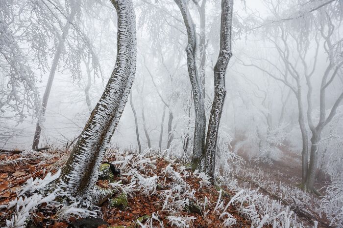 41 Stunning Landscapes From The Natural Landscape Photography Awards 2026 41 Stunning Landscapes From The Natural Landscape Photography Awards 2026
