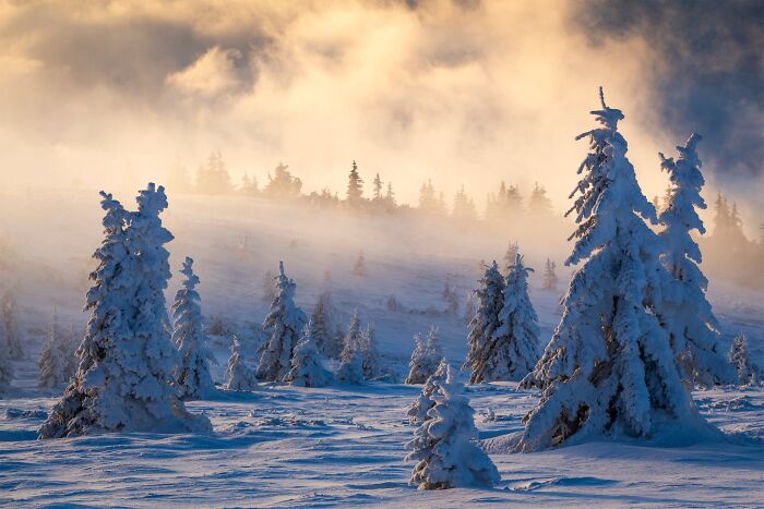 41 Stunning Landscapes From The Natural Landscape Photography Awards 2026 41 Stunning Landscapes From The Natural Landscape Photography Awards 2026