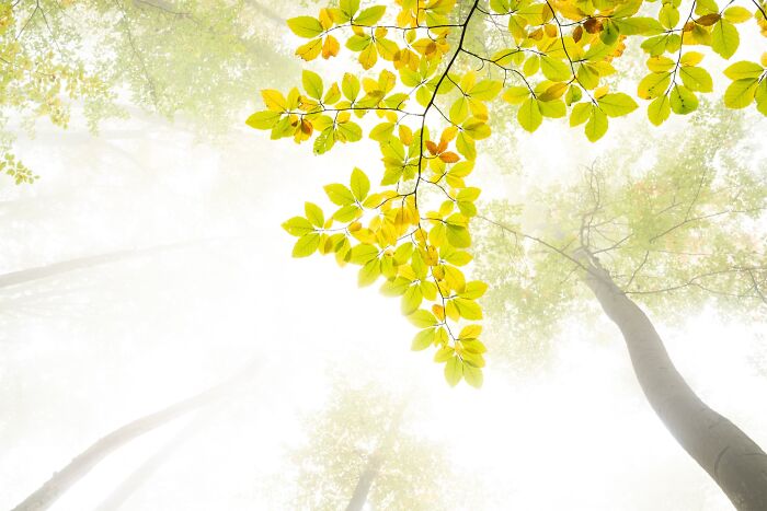 41 Stunning Landscapes From The Natural Landscape Photography Awards 2026 41 Stunning Landscapes From The Natural Landscape Photography Awards 2026