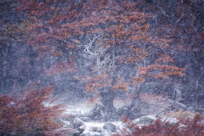 41 Stunning Landscapes From The Natural Landscape Photography Awards 2026 41 Stunning Landscapes From The Natural Landscape Photography Awards 2026