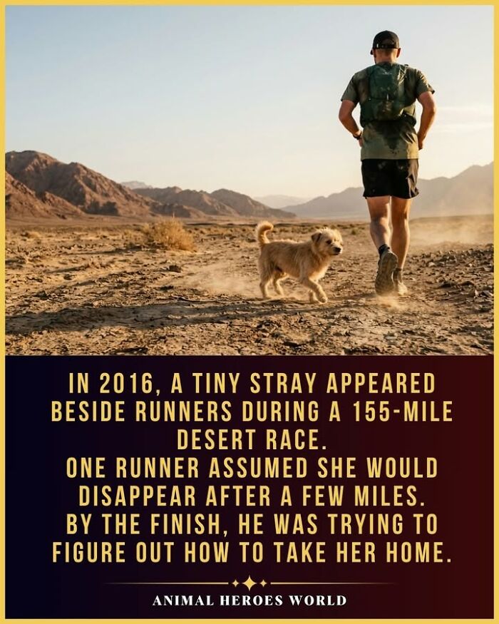 27 True Stories Of Animals Who Saved Lives Or Survived The Impossible, As Shared By This Page 27 True Stories Of Animals Who Saved Lives Or Survived The Impossible, As Shared By This Page