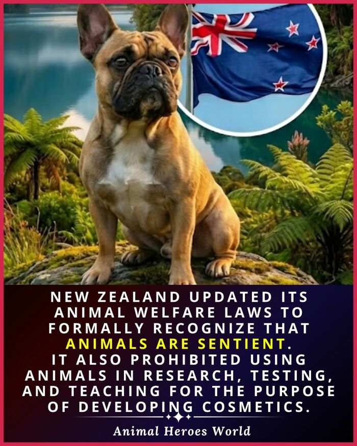 27 True Stories Of Animals Who Saved Lives Or Survived The Impossible, As Shared By This Page 27 True Stories Of Animals Who Saved Lives Or Survived The Impossible, As Shared By This Page