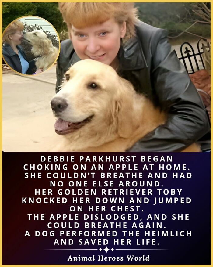 27 True Stories Of Animals Who Saved Lives Or Survived The Impossible, As Shared By This Page 27 True Stories Of Animals Who Saved Lives Or Survived The Impossible, As Shared By This Page