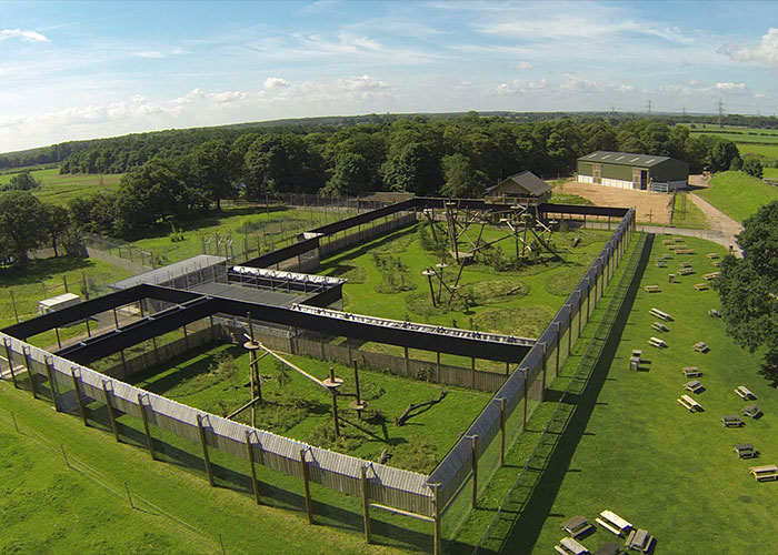 New Witness Accounts Reveal Chilling Details Surrounding Man’s Final Moments At Tiger Enclosure New Witness Accounts Reveal Chilling Details Surrounding Man’s Final Moments At Tiger Enclosure