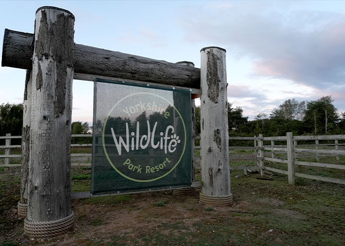 New Witness Accounts Reveal Chilling Details Surrounding Man’s Final Moments At Tiger Enclosure New Witness Accounts Reveal Chilling Details Surrounding Man’s Final Moments At Tiger Enclosure