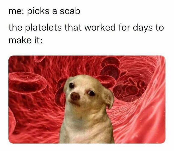If Your Love Language Is Sending Memes To Friends, Then Here Are 62 For You To Choose From If Your Love Language Is Sending Memes To Friends, Then Here Are 62 For You To Choose From