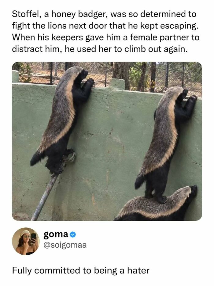 If Your Love Language Is Sending Memes To Friends, Then Here Are 62 For You To Choose From If Your Love Language Is Sending Memes To Friends, Then Here Are 62 For You To Choose From