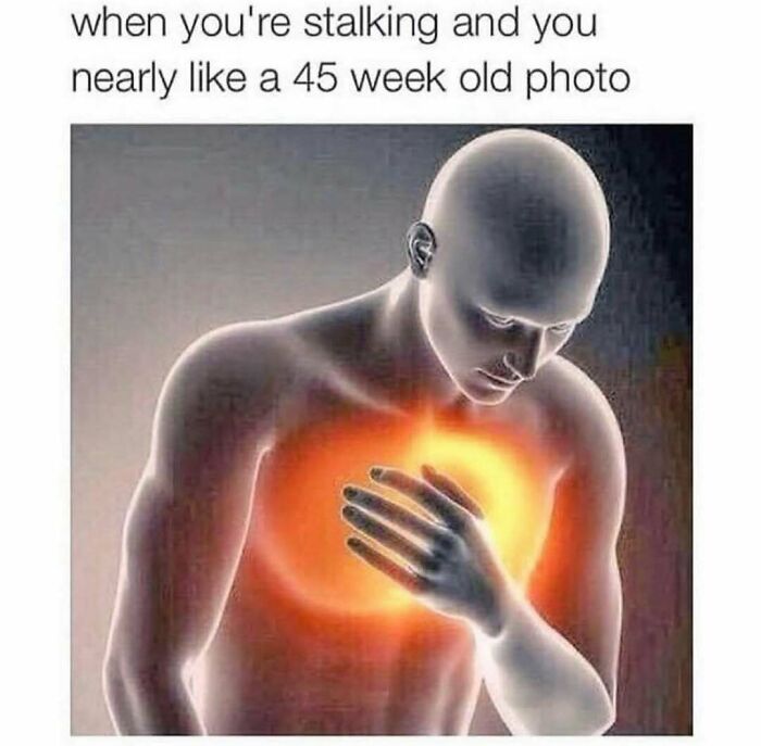 If Your Love Language Is Sending Memes To Friends, Then Here Are 62 For You To Choose From If Your Love Language Is Sending Memes To Friends, Then Here Are 62 For You To Choose From