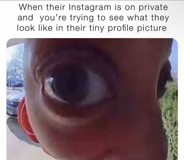 If Your Love Language Is Sending Memes To Friends, Then Here Are 62 For You To Choose From If Your Love Language Is Sending Memes To Friends, Then Here Are 62 For You To Choose From