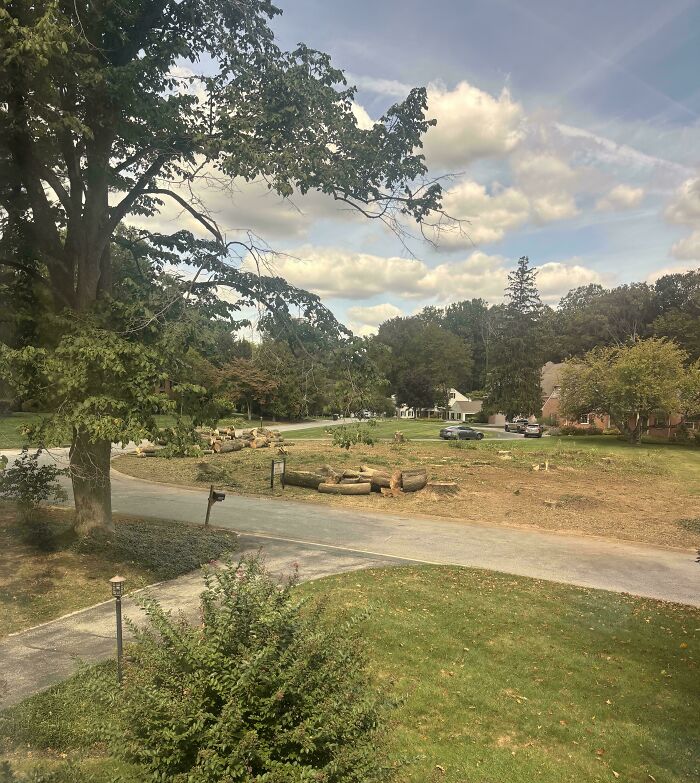 65 Infuriating Neighbors That Might Make You Want To Move In The Middle Of The Woods On A Different Planet 65 Infuriating Neighbors That Might Make You Want To Move In The Middle Of The Woods On A Different Planet