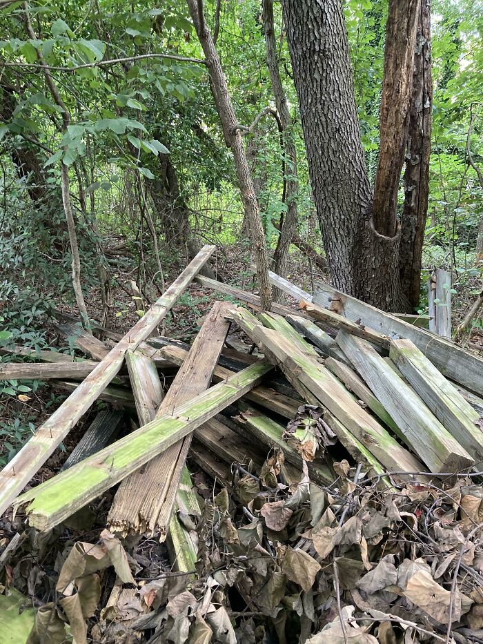 65 Infuriating Neighbors That Might Make You Want To Move In The Middle Of The Woods On A Different Planet 65 Infuriating Neighbors That Might Make You Want To Move In The Middle Of The Woods On A Different Planet
