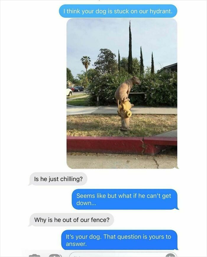 65 Infuriating Neighbors That Might Make You Want To Move In The Middle Of The Woods On A Different Planet 65 Infuriating Neighbors That Might Make You Want To Move In The Middle Of The Woods On A Different Planet