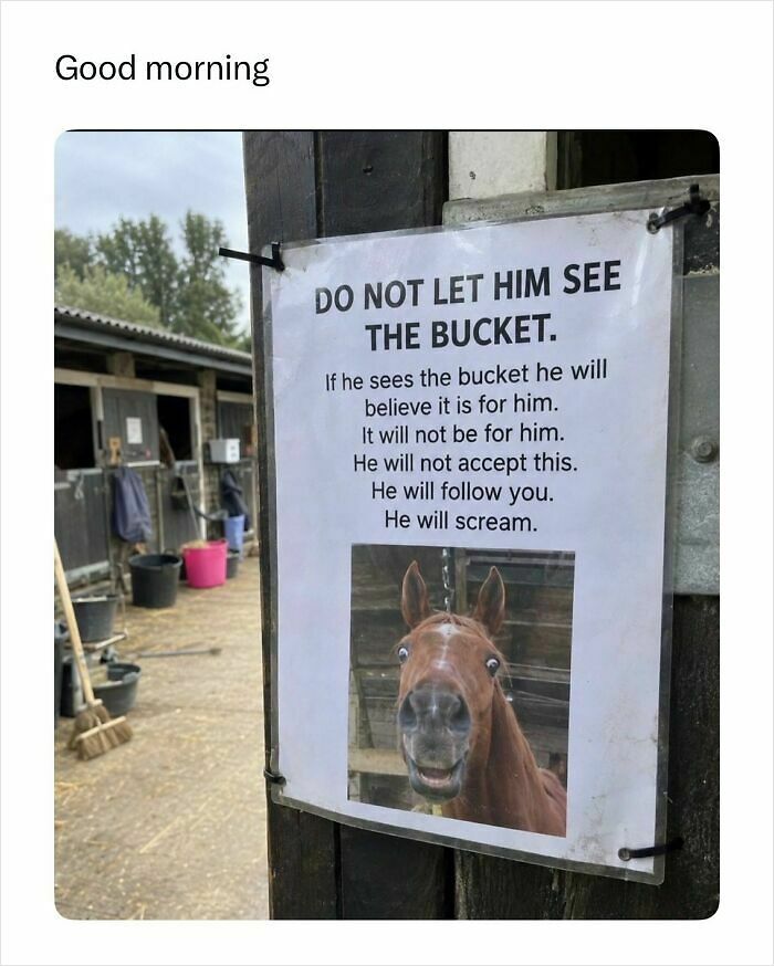 55 Funny Memes That You Might Want To Share With Your Group Chat