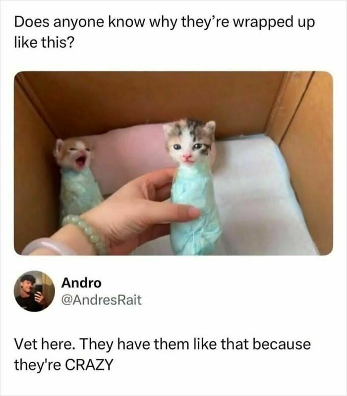 55 Funny Memes That You Might Want To Share With Your Group Chat