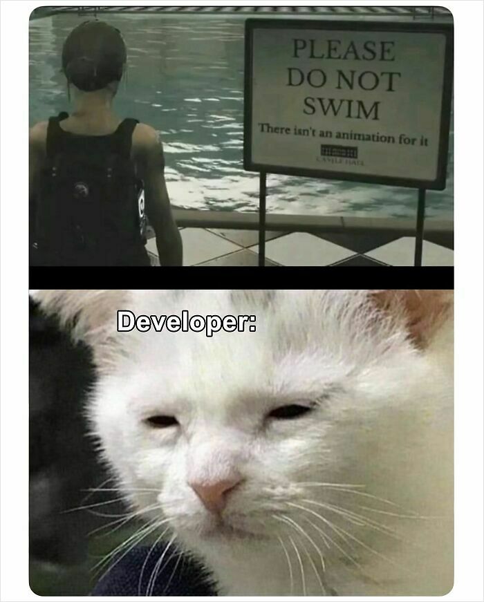 55 Funny Memes That You Might Want To Share With Your Group Chat