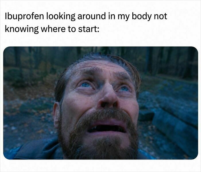 55 Funny Memes That You Might Want To Share With Your Group Chat