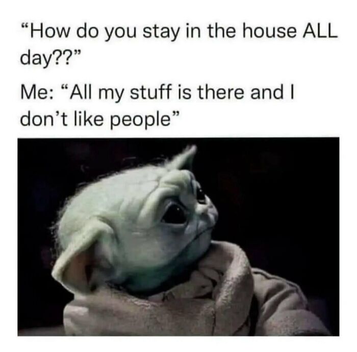 55 Funny Memes That You Might Want To Share With Your Group Chat
