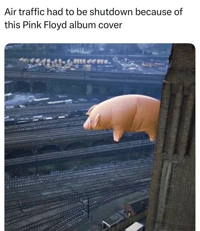 55 Funny Memes That You Might Want To Share With Your Group Chat