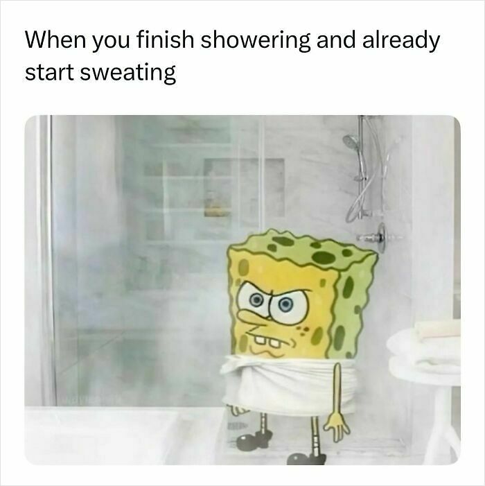 55 Funny Memes That You Might Want To Share With Your Group Chat