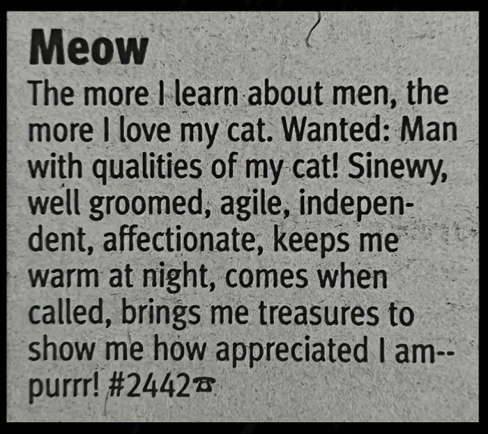 72 Personal Ads From The Past That Show How People Looked For Love Before Dating Apps 72 Personal Ads From The Past That Show How People Looked For Love Before Dating Apps