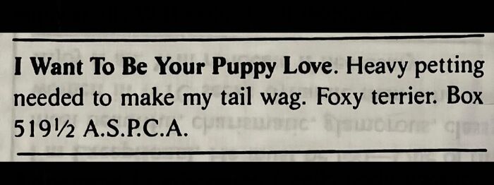 72 Personal Ads From The Past That Show How People Looked For Love Before Dating Apps 72 Personal Ads From The Past That Show How People Looked For Love Before Dating Apps