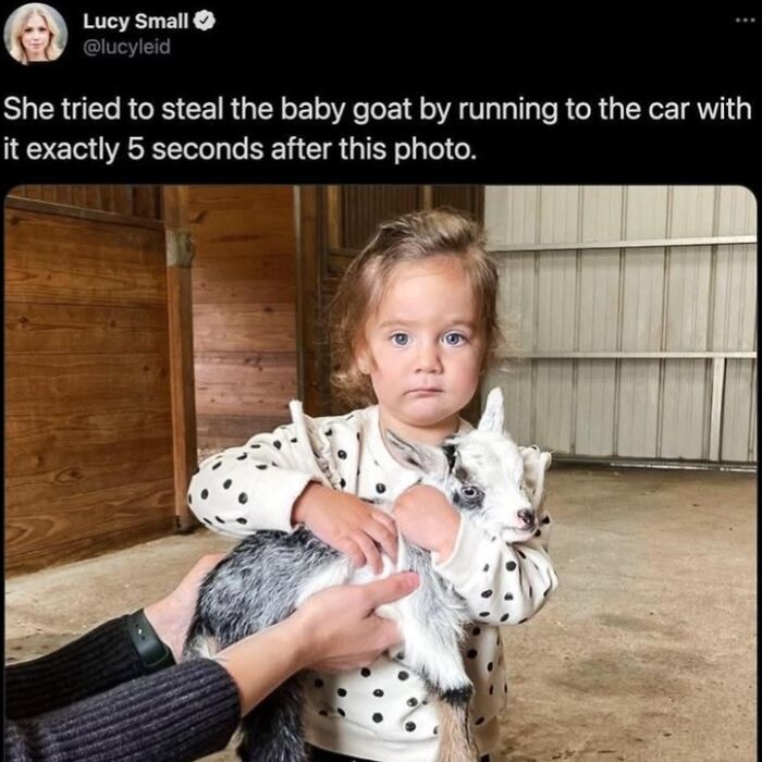 This Page Shared 45 Funny Memes For Anyone Who Knows Animals Are Hilarious In The Best Way