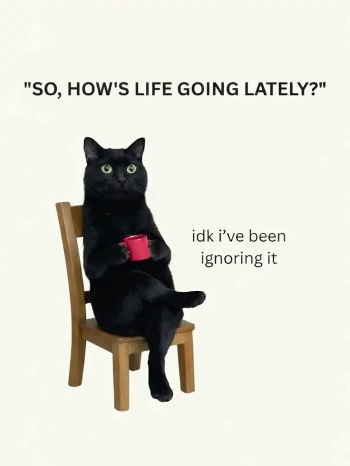 This Page Shared 45 Funny Memes For Anyone Who Knows Animals Are Hilarious In The Best Way