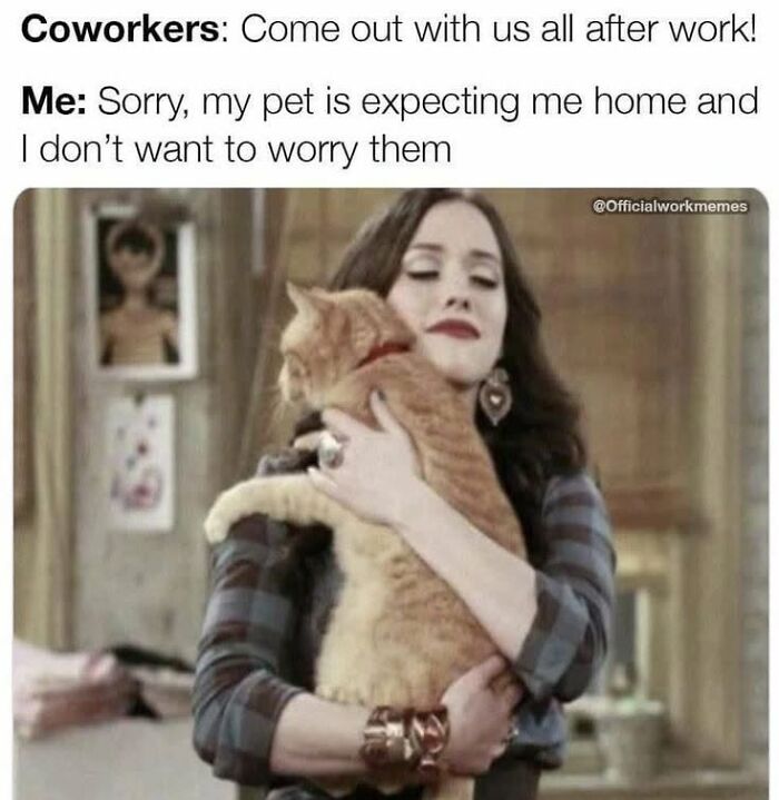 This Page Shared 45 Funny Memes For Anyone Who Knows Animals Are Hilarious In The Best Way
