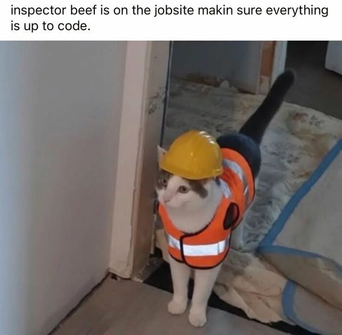 This Page Shared 45 Funny Memes For Anyone Who Knows Animals Are Hilarious In The Best Way