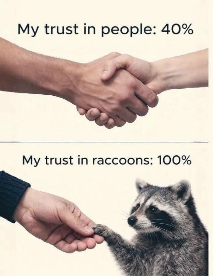 This Page Shared 45 Funny Memes For Anyone Who Knows Animals Are Hilarious In The Best Way