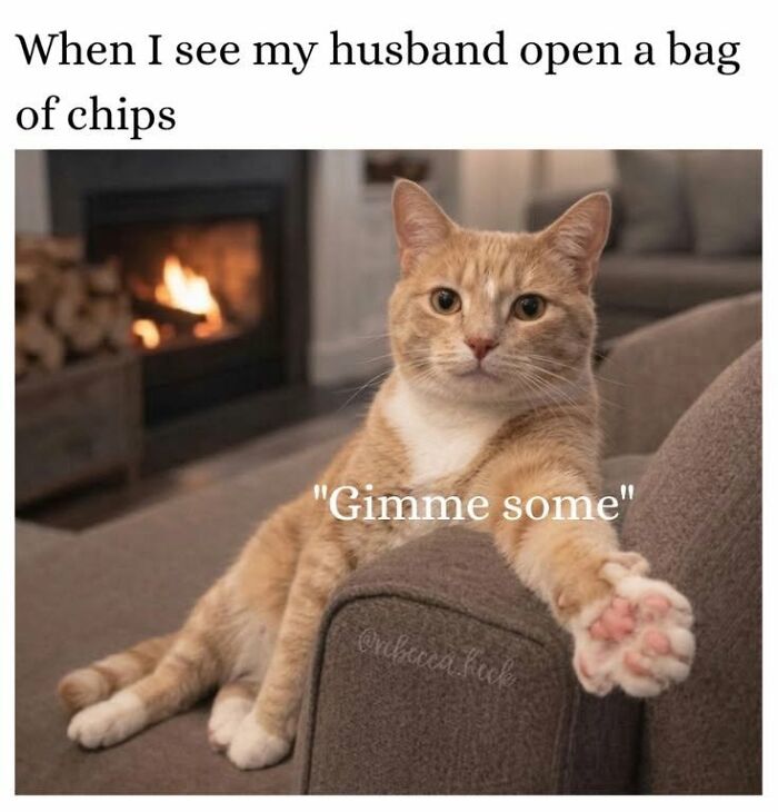 This Page Shared 45 Funny Memes For Anyone Who Knows Animals Are Hilarious In The Best Way