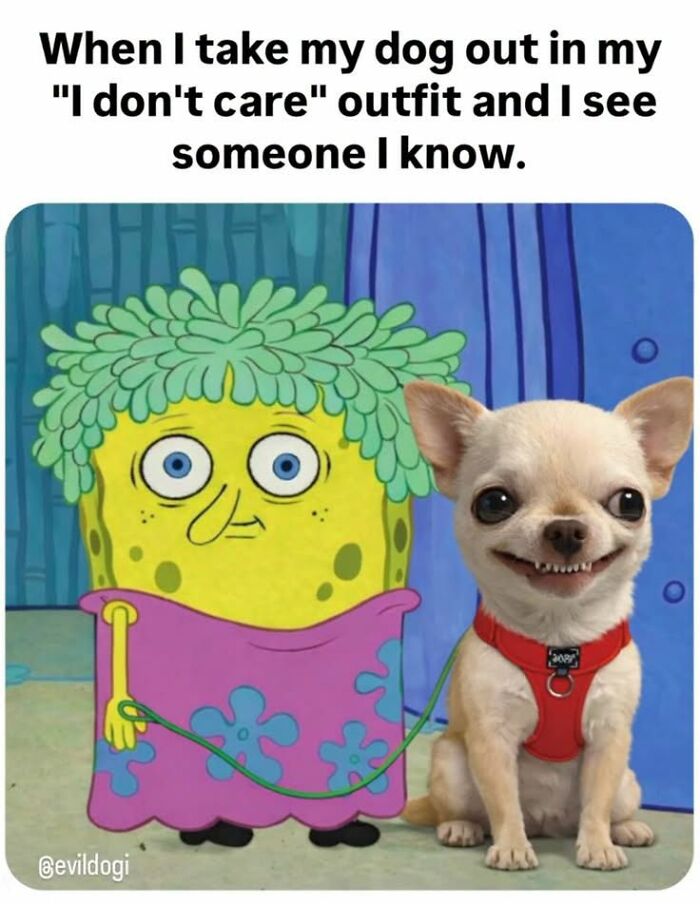 This Page Shared 45 Funny Memes For Anyone Who Knows Animals Are Hilarious In The Best Way