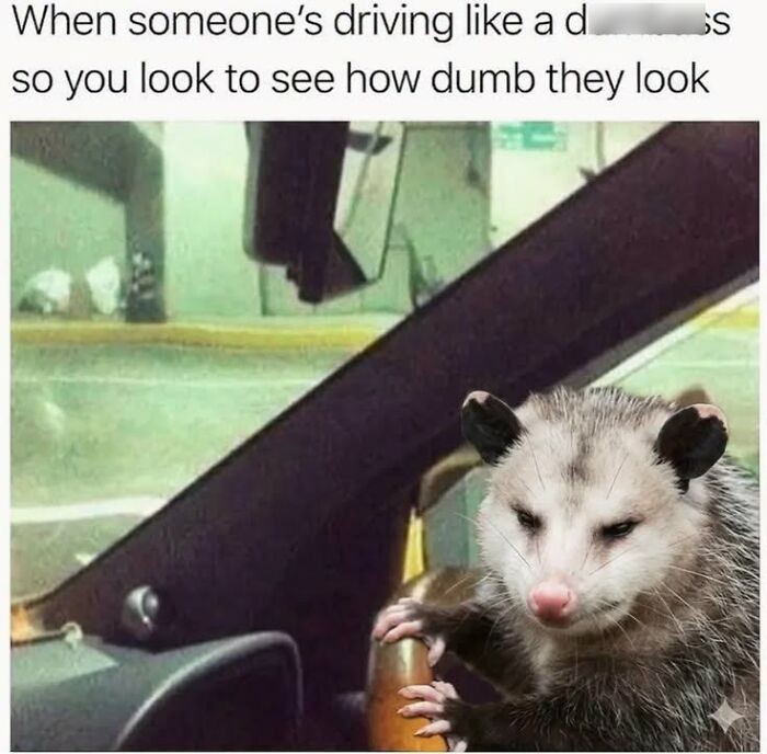 This Page Shared 45 Funny Memes For Anyone Who Knows Animals Are Hilarious In The Best Way