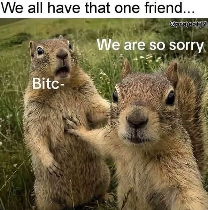This Page Shared 45 Funny Memes For Anyone Who Knows Animals Are Hilarious In The Best Way