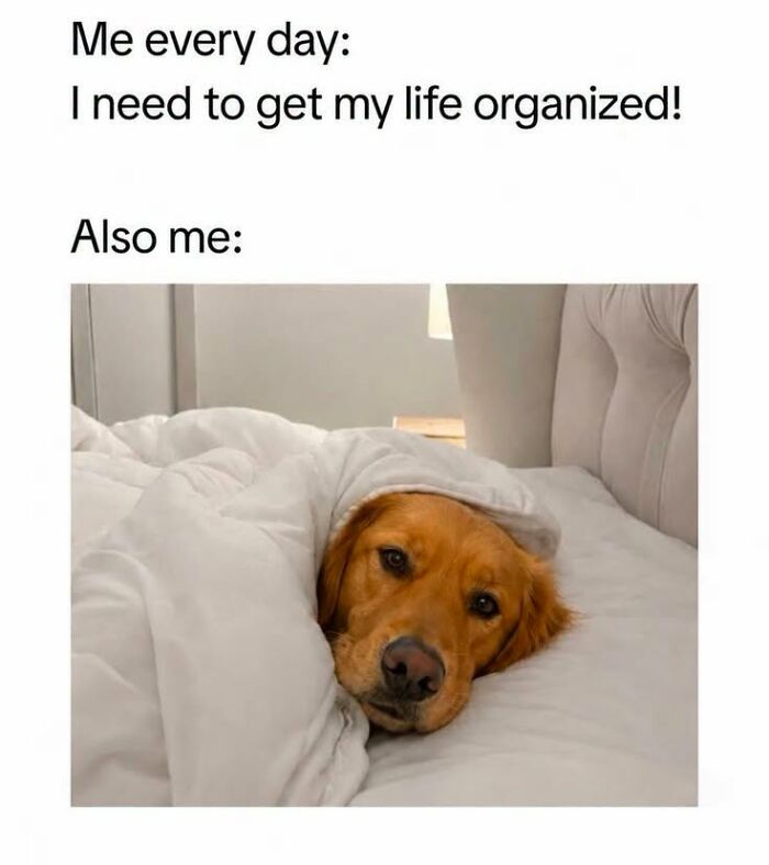 This Page Shared 45 Funny Memes For Anyone Who Knows Animals Are Hilarious In The Best Way
