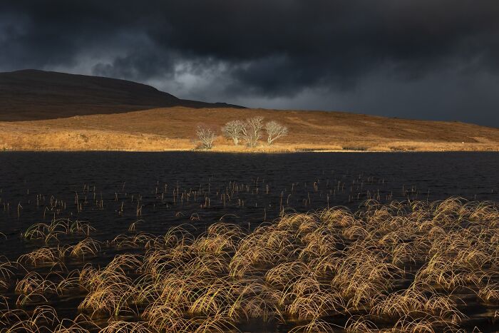 81 Pics That Turn Familiar Terrain Surreal From The Natural Landscape Photography Awards 2026 81 Pics That Turn Familiar Terrain Surreal From The Natural Landscape Photography Awards 2026