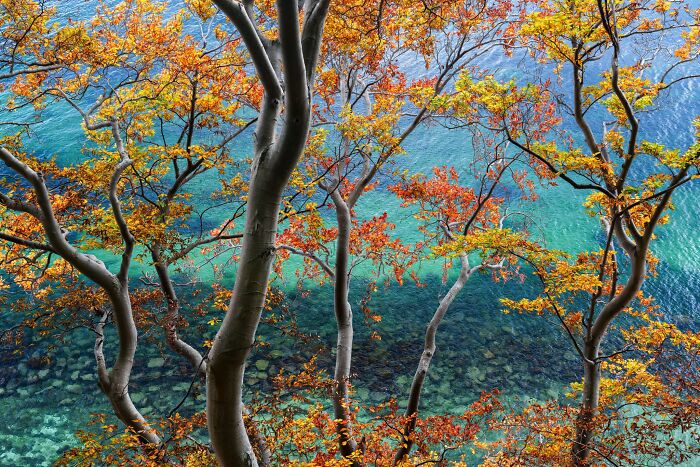 81 Pics That Turn Familiar Terrain Surreal From The Natural Landscape Photography Awards 2026 81 Pics That Turn Familiar Terrain Surreal From The Natural Landscape Photography Awards 2026
