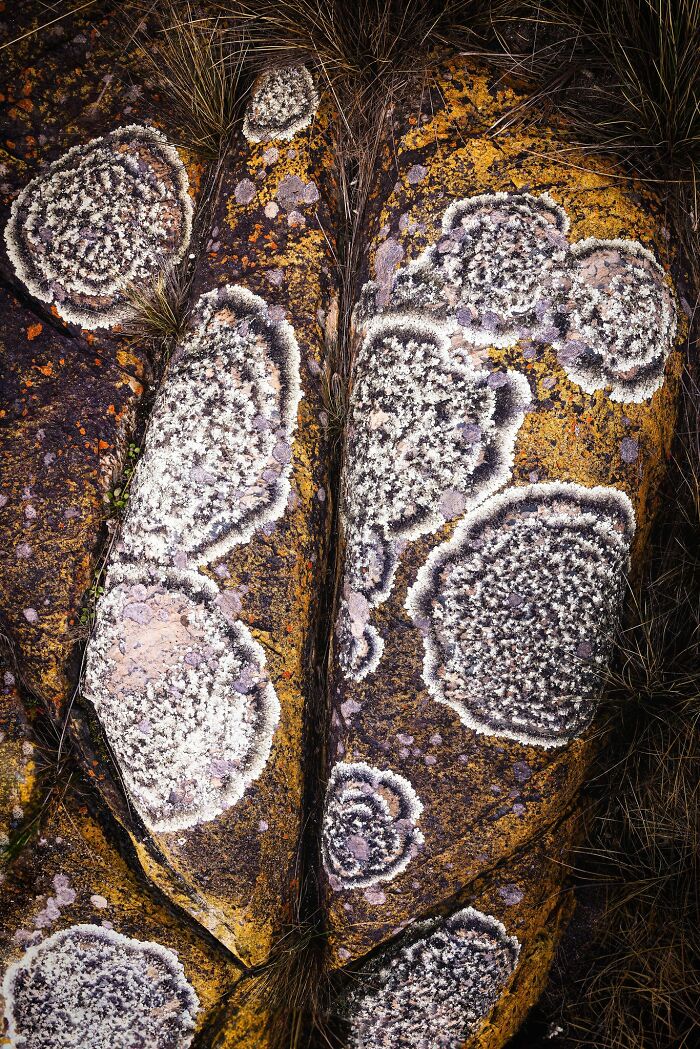 81 Pics That Turn Familiar Terrain Surreal From The Natural Landscape Photography Awards 2026 81 Pics That Turn Familiar Terrain Surreal From The Natural Landscape Photography Awards 2026
