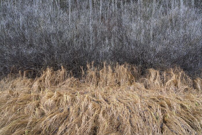 81 Pics That Turn Familiar Terrain Surreal From The Natural Landscape Photography Awards 2026 81 Pics That Turn Familiar Terrain Surreal From The Natural Landscape Photography Awards 2026