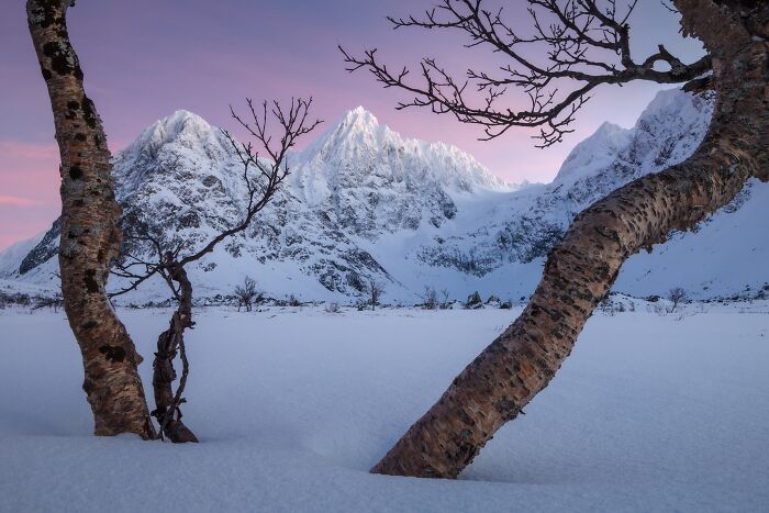 81 Pics That Turn Familiar Terrain Surreal From The Natural Landscape Photography Awards 2026 81 Pics That Turn Familiar Terrain Surreal From The Natural Landscape Photography Awards 2026